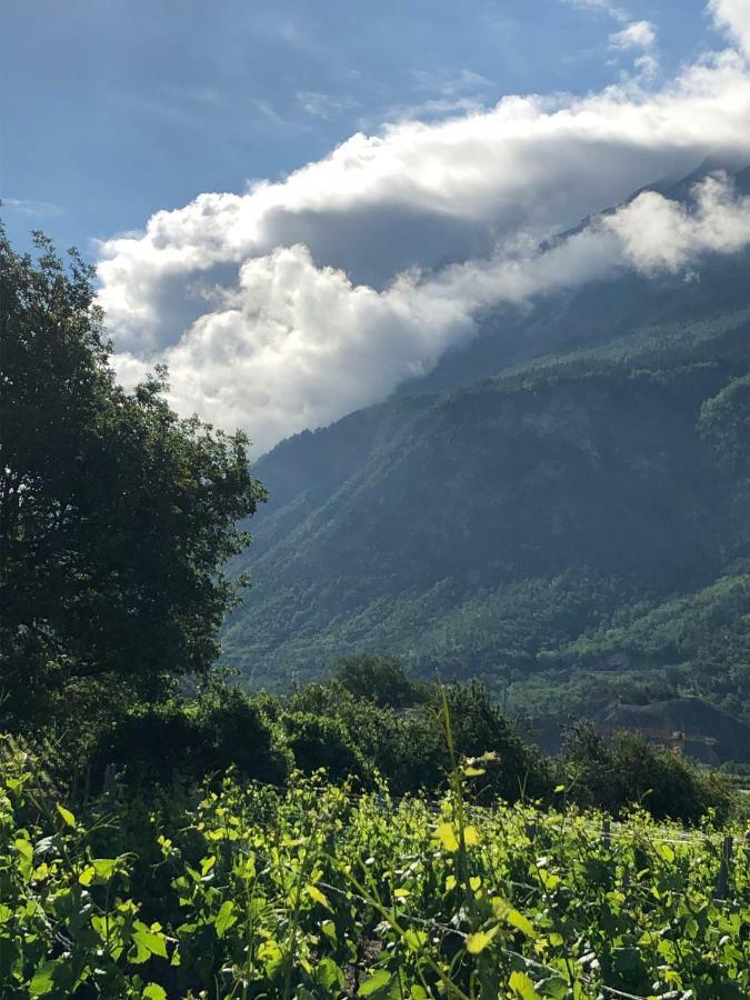 Bnb Chantevent Sierre ภายนอก รูปภาพ