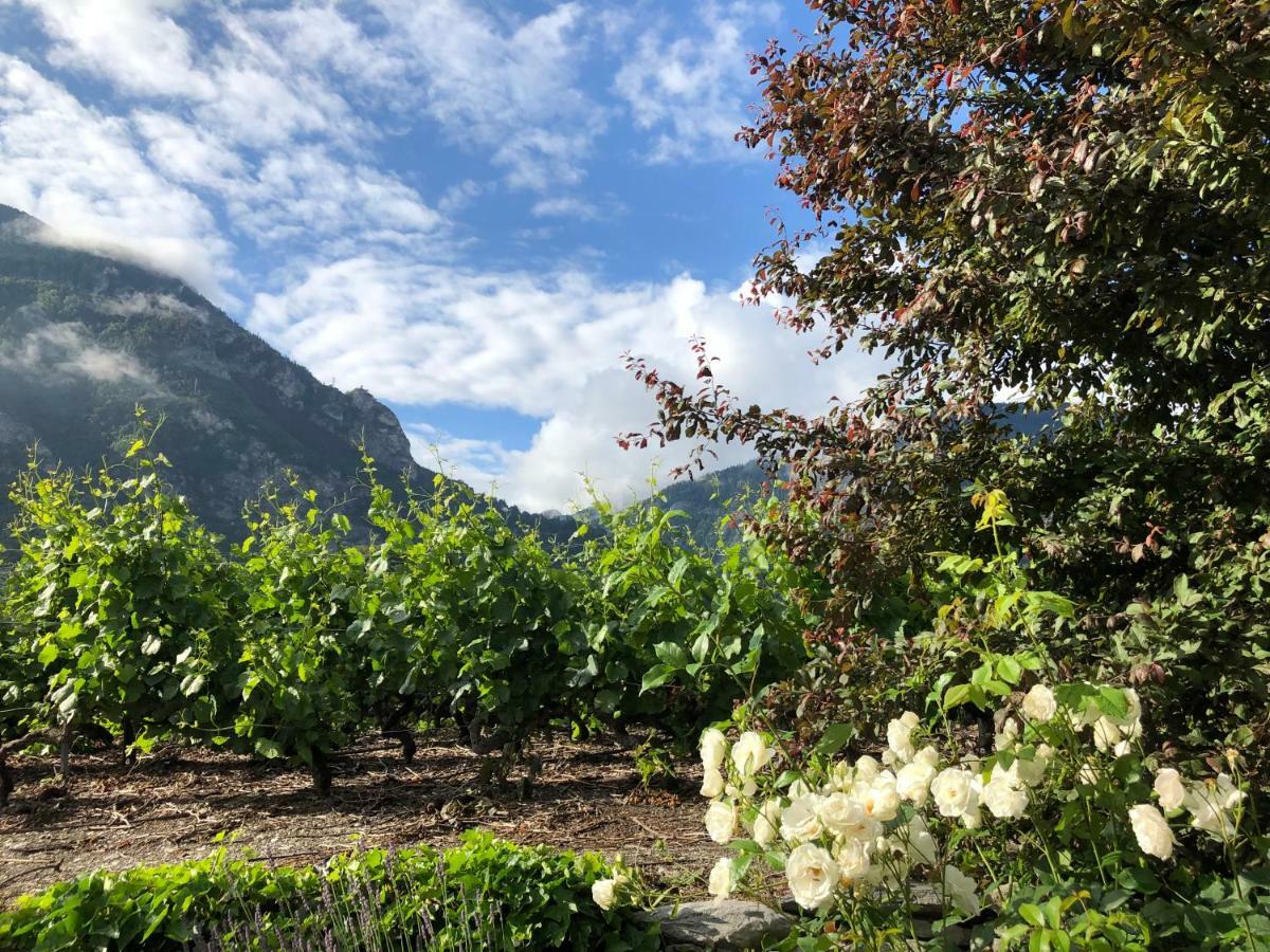 Bnb Chantevent Sierre ภายนอก รูปภาพ